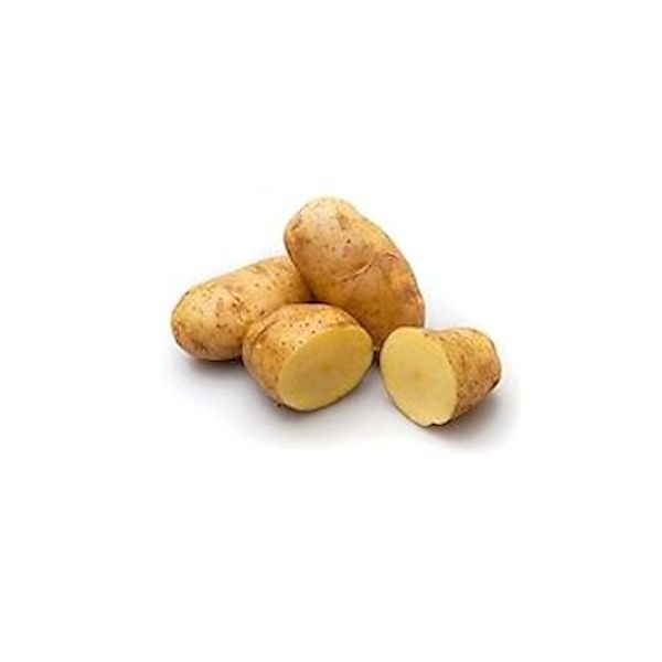 Nieuwe Oogst Spaanse Dore 5 Kg